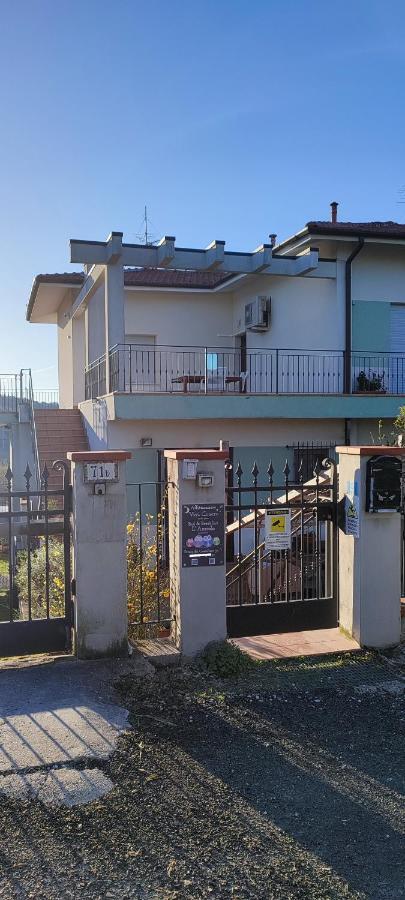Hotel Vivi Conero Ancona Exteriér fotografie